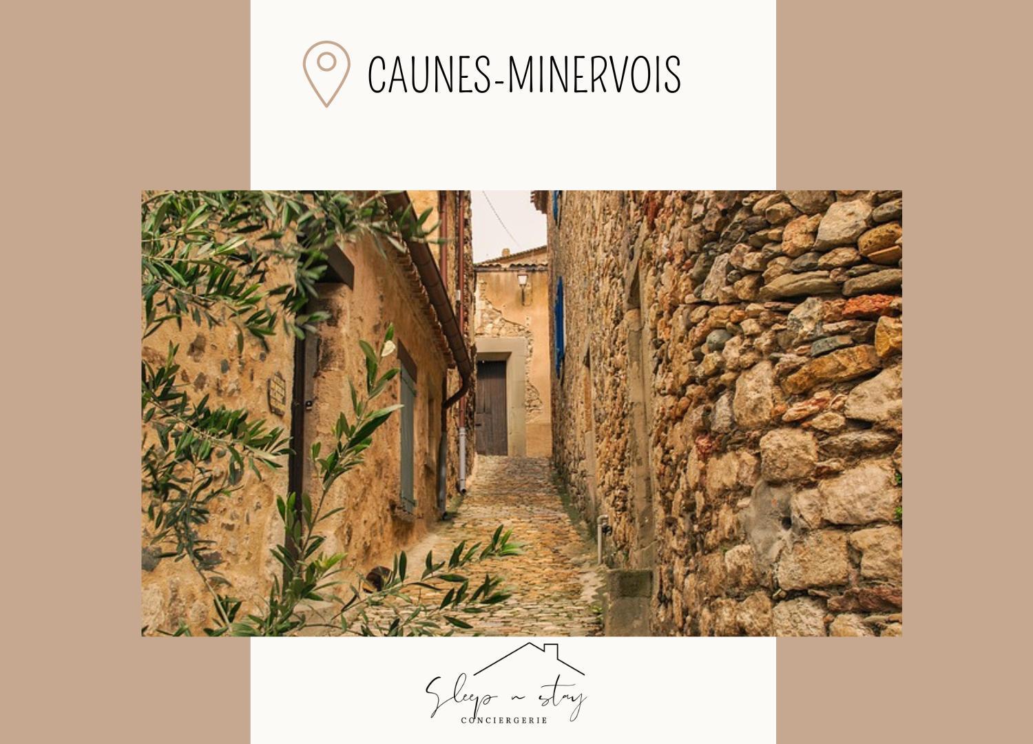 Apartment La Terasse Carcassonne Zewnętrze zdjęcie